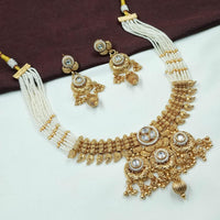 NAFJ Traditional Meenakari Necklace Set with Ruby Stones
