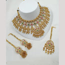 NAFJ Elegant Pota And Pearl Choker Necklace Set