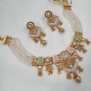 NAFJ Sparkling Pota Stone And Pearl Designer Meenakari Necklace Set