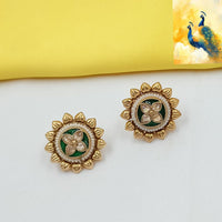 NAFJ Elegant Pota Stone And Pearl Stud Earrings
