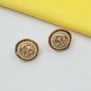 NAFJ Elegant Pota Stone And Pearl Stud Earrings