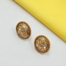 NAFJ Elegant Pota Stone Stud Earrings