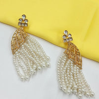 NAFJ Premium Pearl And Pota Stone Dangler Earrings