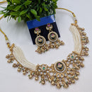NAFJ Classic Pota Stone And Pearl Choker Necklace Set for Women