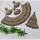 NAFJ Gold Plated Crystal Stone And Beads Necklace Set