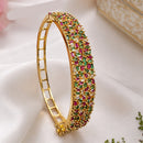 NAFJ Gold Plated American Diamond Openable Kada