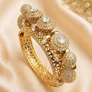 NAFJ Gold Plated Austrian Stone Bangles Set for Women Traditional Indian Ethnic Jewelry (Copy)