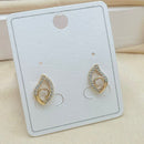 Klitz Stylish Stainless Steel Austrian Stone Studs Earrings