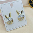 Klitz Stylish Stainless Steel Crystal Stone Studs Earrings