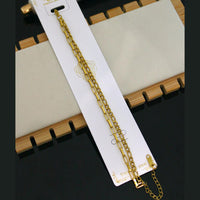 Klitz Premium Stainless Steel Chain (Pack of 12)