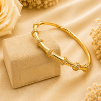 Klitz Pack Of 12 Gold Plated Austrian Stone Openable Kada
