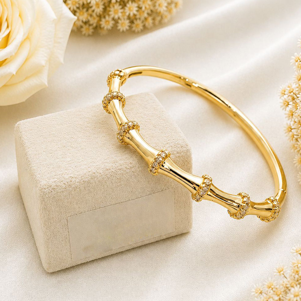 Klitz Gold Plated Austrian Stone Openable Kada