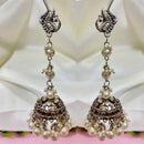 Dhirish International Heritage Oxidised Plated Beads Jhumki Earrings 