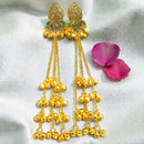 Dhirish International Designer Kashmiri Pota Stone And Ghungroo Long Dangler Earrings