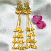 Dhirish International Designer Kashmiri Pota Stone And Ghungroo Long Dangler Earrings