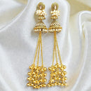 Dhirish International Designer Kashmiri Pota Stone  Pearl And Ghungroo Long Dangler Earrings