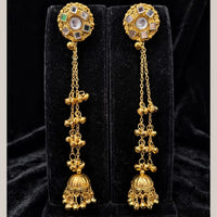 Dhirish International Classic Mirror And Ghungroo Kashmiri Dangler Earrings