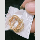 Chandani Jewellers Gold Plated Everyday Royalty Studs Earrings