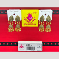 Raj Imitation Beads Jhumki Earrings