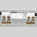 Raj Imitation Traditional Pota Stone And Pearl Jhumki Earrings for Women (Set of 36)