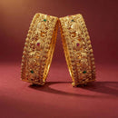 ZF Collection Designer Pota Stone Openable Bangles Set 