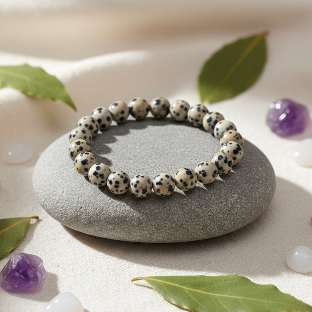 Urthn Dalmatian Jasper Natural Stone Bracelet(Pack of 3)