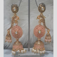 Infinity Jewels Gold Plated Crystal Stone And Meenakari Jhumki Earrings