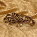 Etnico Gold Plated Traditional Velvet Embellished Work & Ghungroo Latkan Detailing Bangles Chuda Bangle Set for Bridal/Women (Wine, )