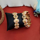 Js Fashion  Antique Jewellery Rajwadi Polish Fancy Style 2 Bangles Set