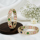 Js Fashion  Elegant High Gold Floral Stone Set of 2 Bangle for Women