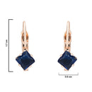 Etnico Rose Gold Plated Square-Cut Lever back Drop Small Fancy Earrings For Women