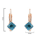 Etnico Rose Gold Plated Square-Cut Lever back Drop Small Fancy Earrings For Women