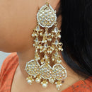 Gehana Mahal Gold Plated Kundan And Pearl Dangler Earrings