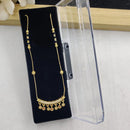 SP Jewellery Graceful Pota And Austrian Stone Beads Necklace