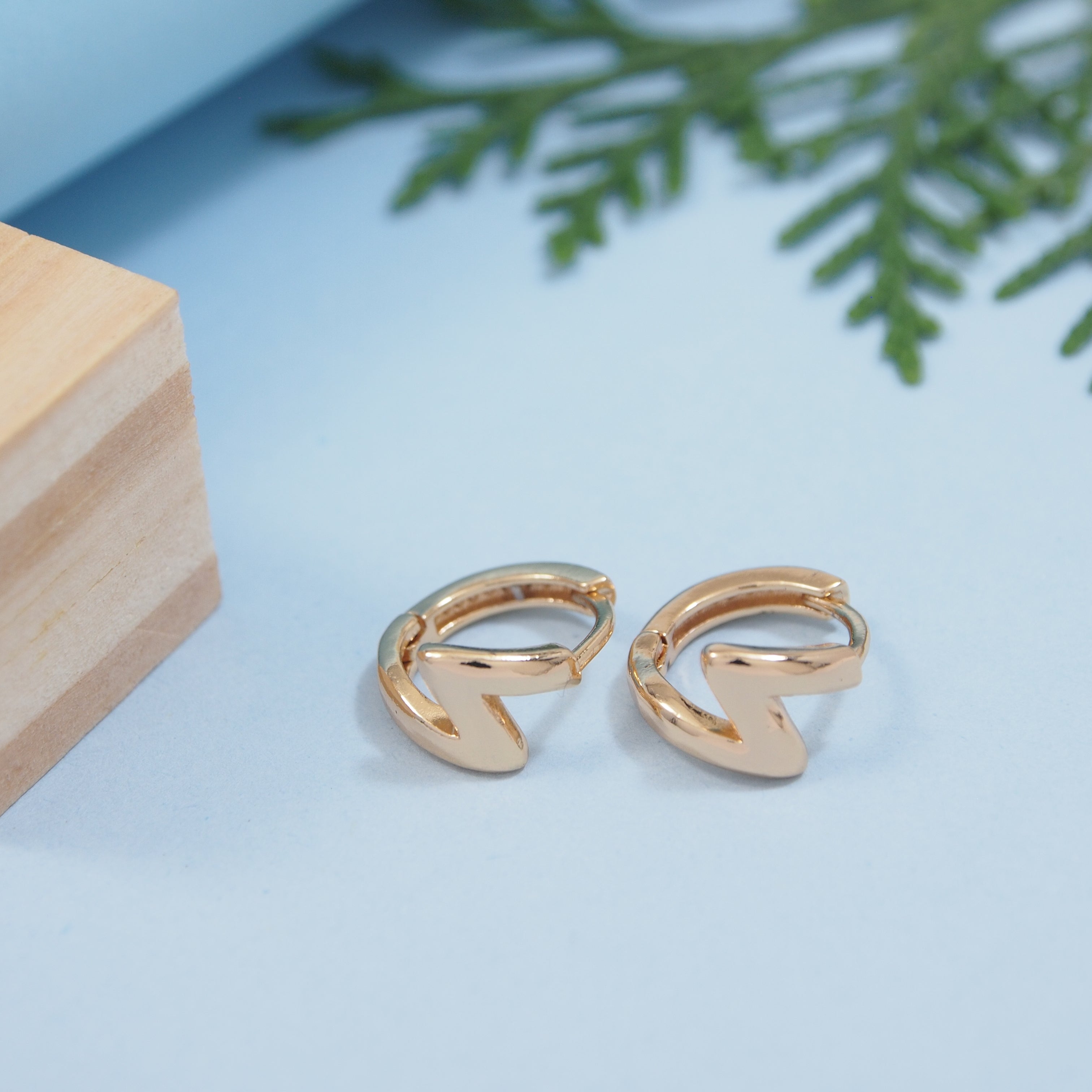 Tarohi Jewels Stainless Steel Hoops Earring