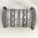Shree Asha Bangles Oxidised Plated Bangles Set