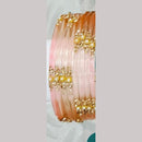Chitra Bangles Multi Color Glass Bangle (12 Piece In 1 Box)