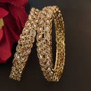 Raddhi Jewels Premium Quality Brass Designer Set of 2 Bangles For Women/Girls