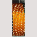 Chitra Bangles Multi Color Glass Bangle (12 Piece In One Box)