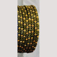 Chitra Bangles Multi Color Glass Bangle (12 Piece In One Box)
