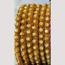 Chitra Bangles Multi Color Bangle (8 Piece In One Box)