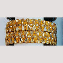 Chitra Bangles Multi Color Bangle (8 Piece In One Box)