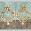 Shreeji Gold Plated Dangler Earrings Earrings