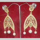 Shreeji Gold Plated Dangler Earrings Earrings