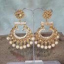 Shreeji Gold Plated Dangler Earrings Earrings