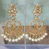 Shreeji Gold Plated Dangler Earrings Earrings