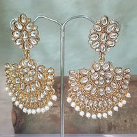 Shreeji Gold Plated Dangler Earrings Earrings