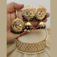 Vaamika Gold Plated Pearl & Beads Choker Necklace Set