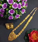 H K Fashion Gold Plated Necklace Set 