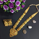 H K Fashion Gold Plated Necklace Set 